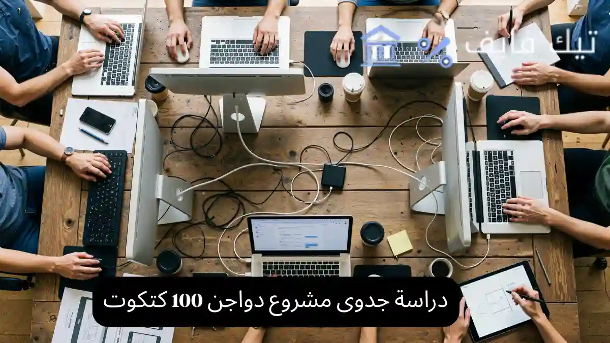 دراسة جدوى مشروع دواجن 100 كتكوت