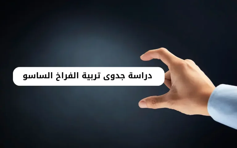 دراسة جدوى تربية الفراخ الساسو