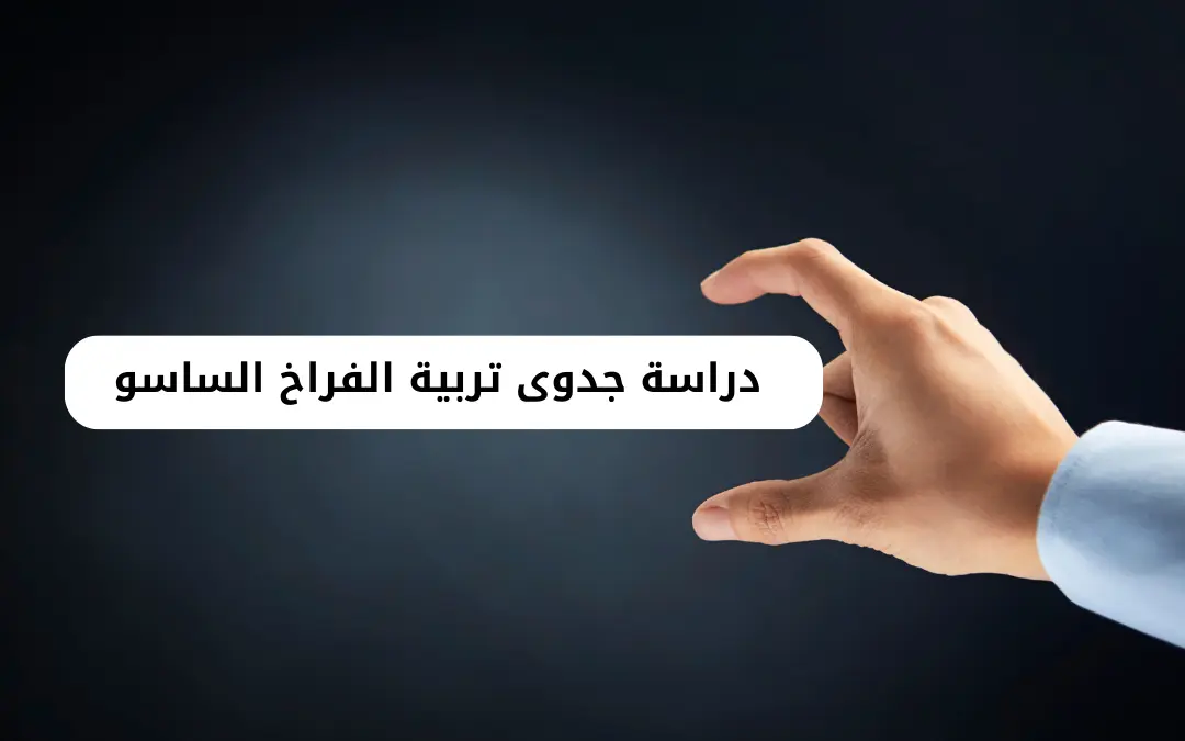 دراسة جدوى تربية الفراخ الساسو