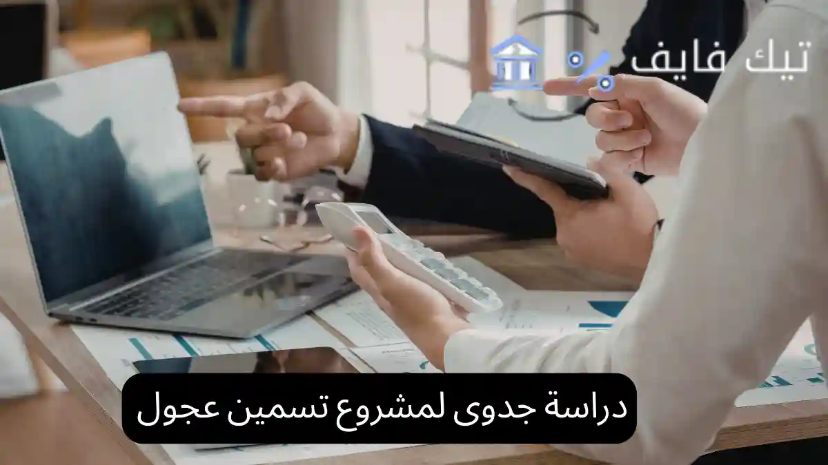 دراسة جدوى لمشروع تسمين عجول