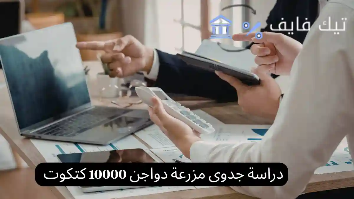 دراسة جدوى مزرعة دواجن 10000 كتكوت