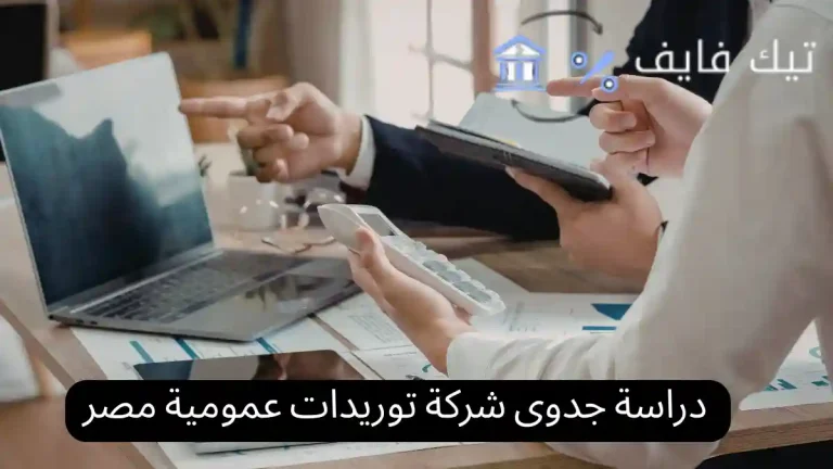 دراسة جدوى شركة توريدات عمومية مصر