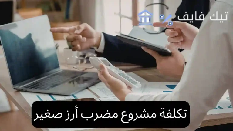 تكلفة مشروع مضرب أرز صغير