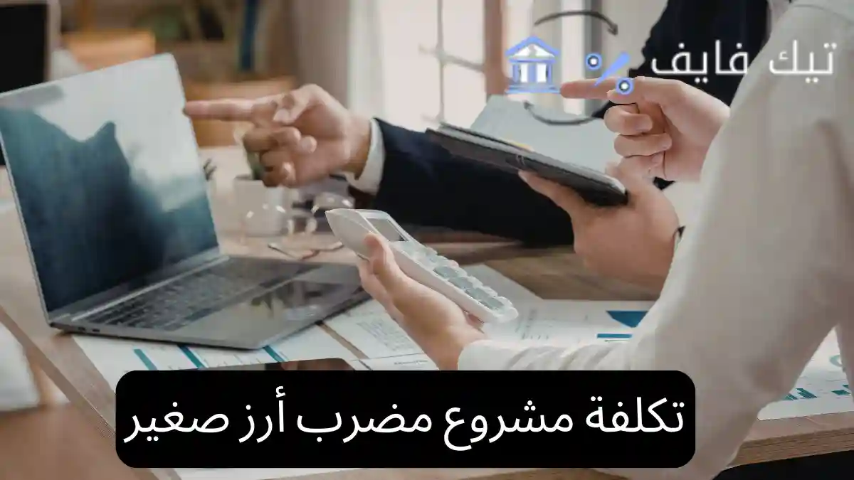 تكلفة مشروع مضرب أرز صغير