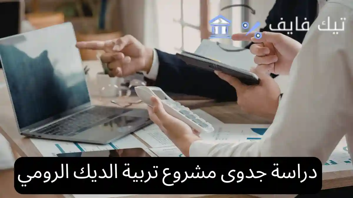 دراسة جدوى مشروع تربية الديك الرومي