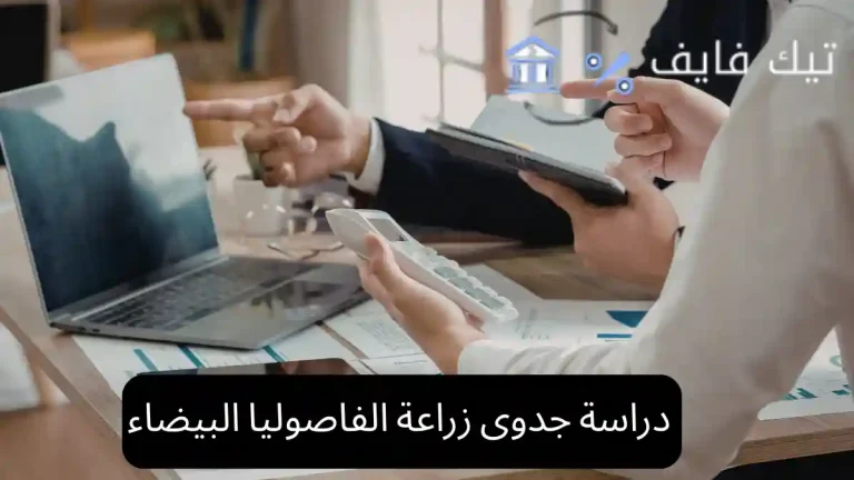 دراسة جدوى زراعة الفاصوليا البيضاء