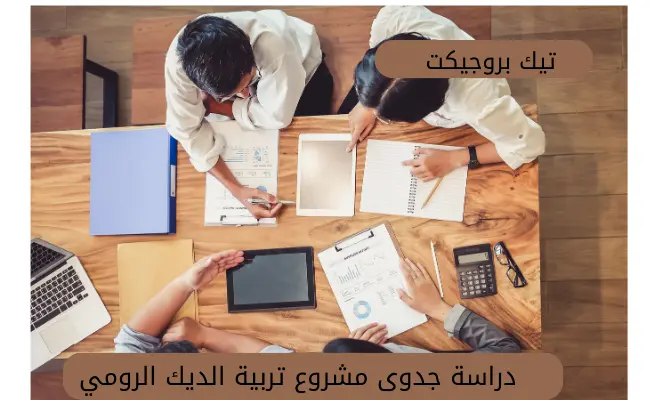 دراسة جدوى مشروع تربية الديك الرومي