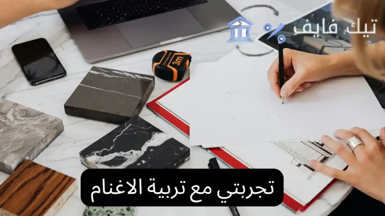 تجربتي مع تربية الاغنام