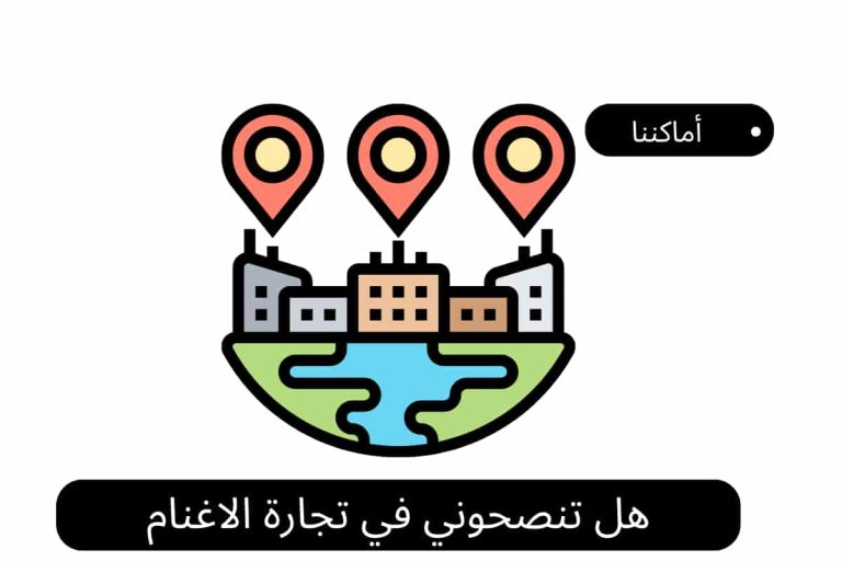 هل تنصحوني في تجارة الاغنام