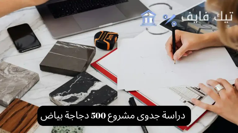 دراسة جدوى مشروع 500 دجاجة بياض