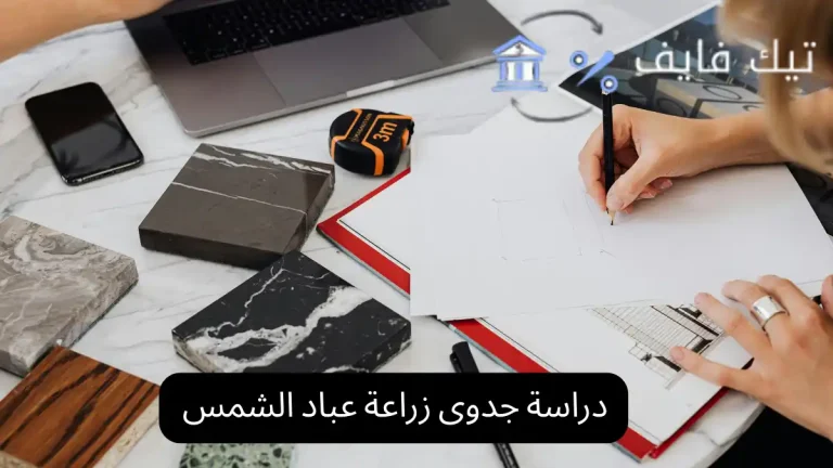 دراسة جدوى زراعة عباد الشمس