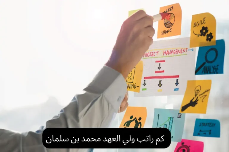 كم راتب ولي العهد محمد بن سلمان