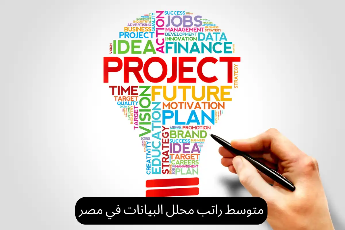 متوسط راتب محلل البيانات في مصر