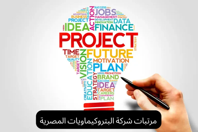مرتبات شركة البتروكيماويات المصرية