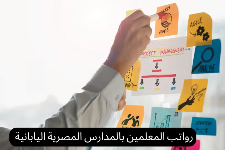 رواتب المعلمين بالمدارس المصرية اليابانية